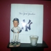 Joe T, Yankee Book